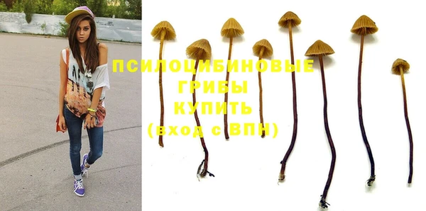 гашик Балахна