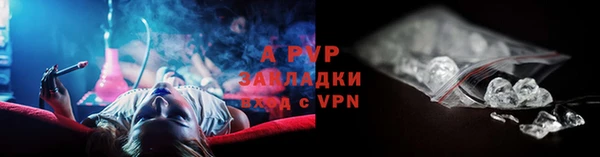 гашик Балахна