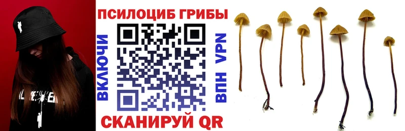 Галлюциногенные грибы мухоморы  дарк нет формула  Иркутск 